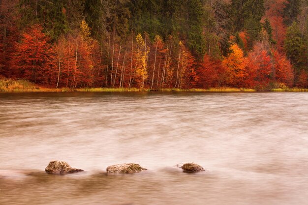 秋の森の中の湖の景色