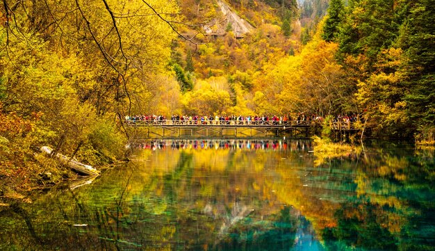 Photo scenic view of lake in forest during autumn