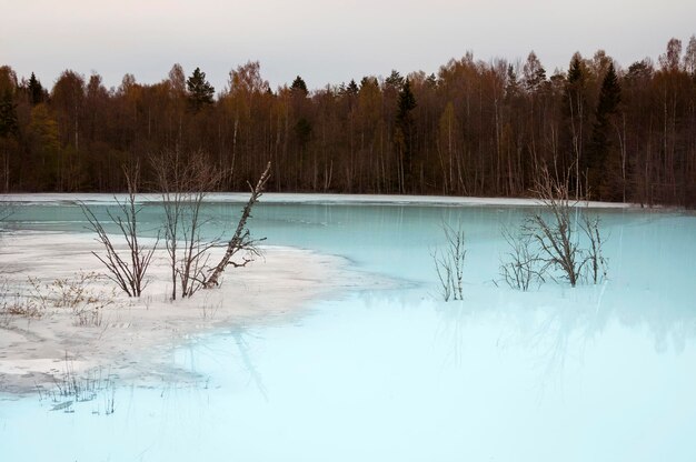 Photo scenic view of lake in forest during winter