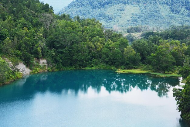 Photo scenic view of lake in forest