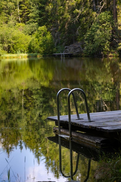 Foto la vista panoramica del lago nella foresta