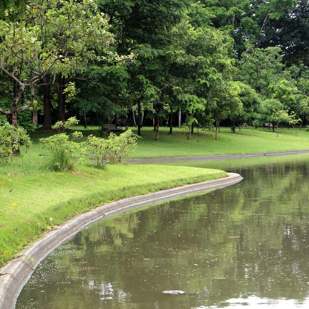 Scenic view of lake in forest