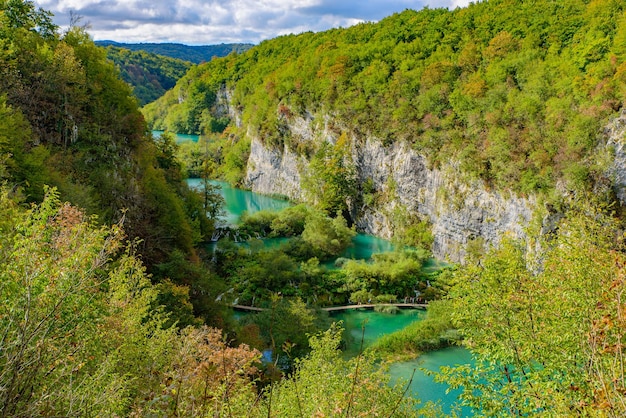 Scenic view of lake in forest