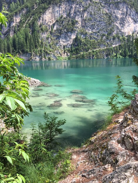 Foto la vista panoramica del lago nella foresta