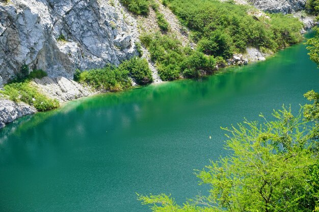 Foto la vista panoramica del lago nella foresta