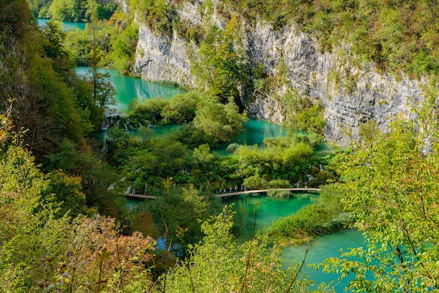 Foto la vista panoramica del lago nella foresta