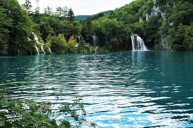 Photo scenic view of lake in forest