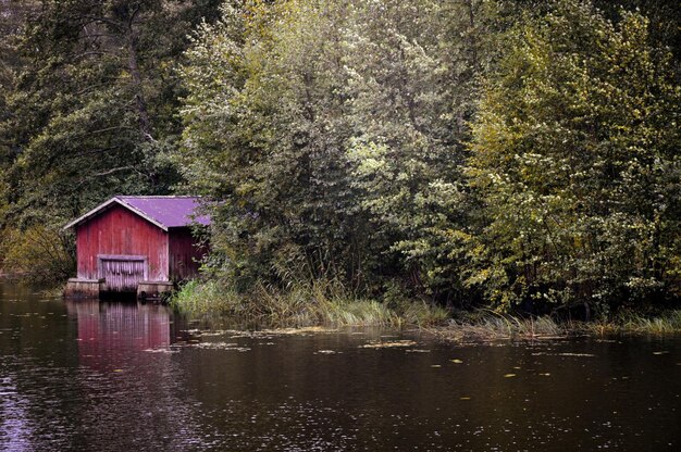 Photo scenic view of lake in forest