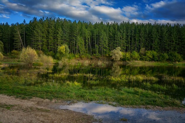 Photo scenic view of lake in forest