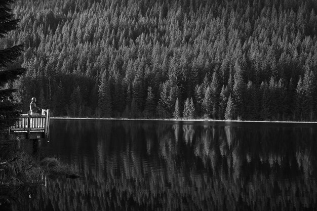 Photo scenic view of lake in forest