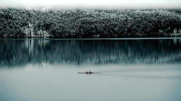 scenic view of lake in forest