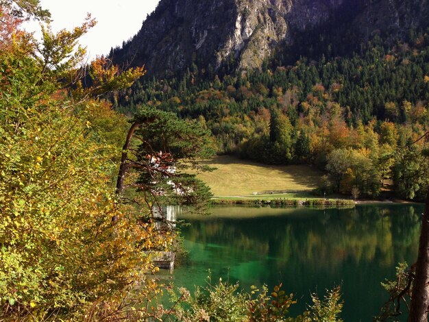 Photo scenic view of lake in forest