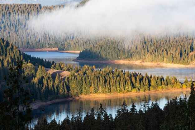 Photo scenic view of lake in forest