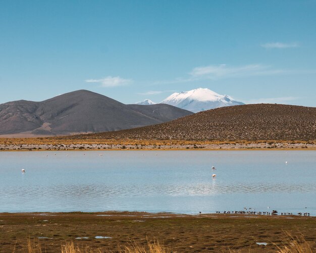 藍天背景下湖泊和山脈的風景