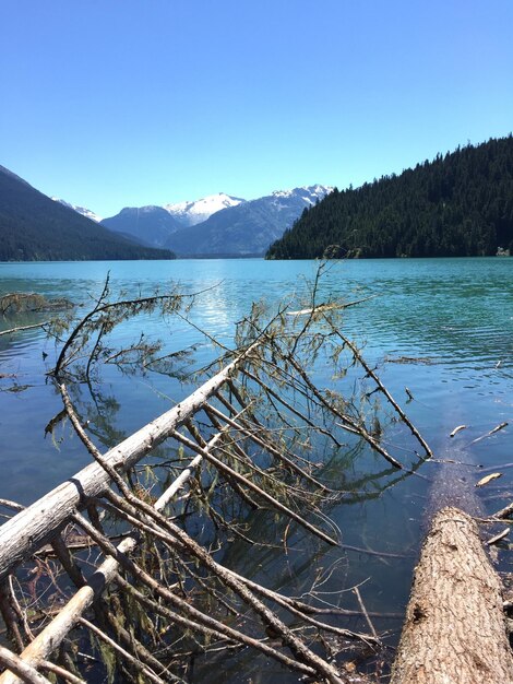 Photo scenic view of lake and mountains against clear blue sky