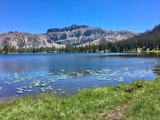 Scenic view of lake and mountains against clear blue sky