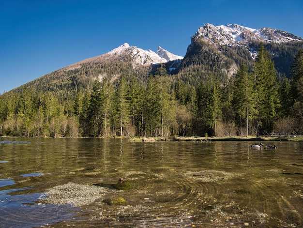 Scenic view of lake and mountains against clear sky