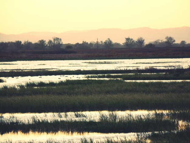 Scenic view of lake and mountains