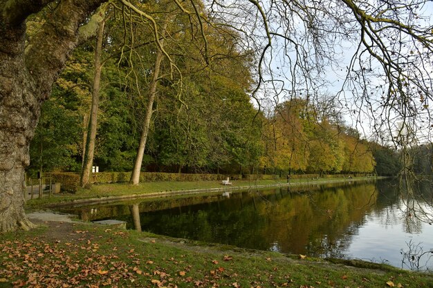 Foto vista panoramica del lago nel parco durante l'autunno