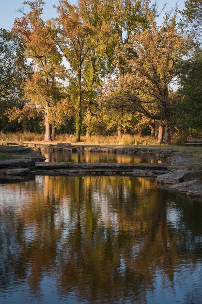 Foto vista panoramica del lago nel parco durante l'autunno