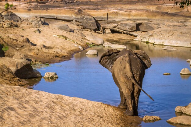 Foto la vista panoramica del lago e delle rocce