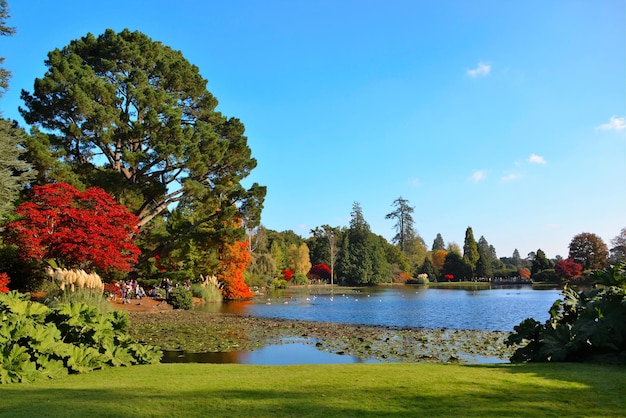 Photo scenic view of lake surrounded by trees in park