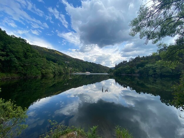 Scenic view of lake and trees against sky