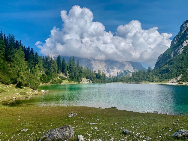 Scenic view of lake and trees against sky