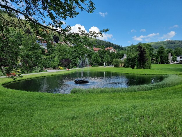 Photo scenic view of lake and trees against sky