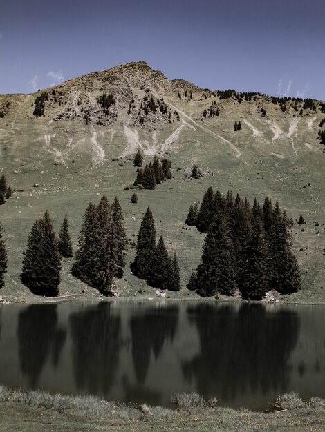 Foto vista panoramica del lago e degli alberi sul cielo