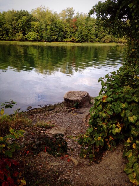 Photo scenic view of lake with trees reflection