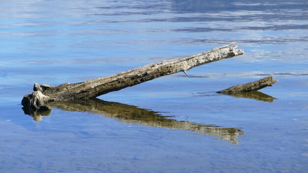 Scenic view of lake