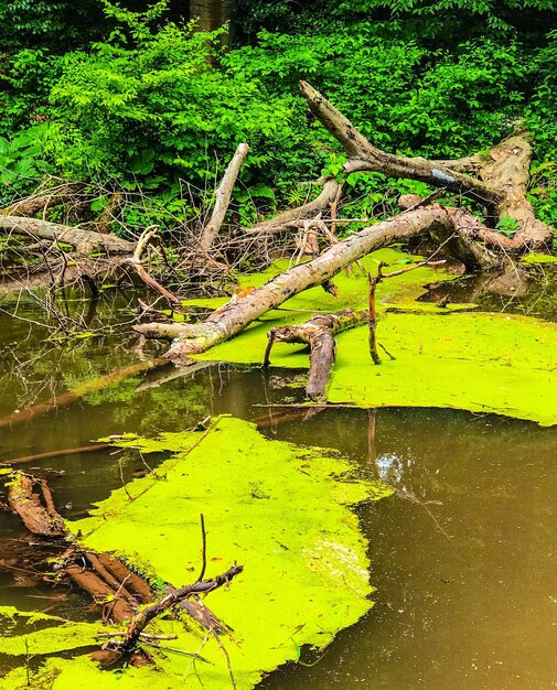 Scenic view of lake