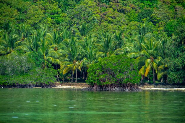 Scenic view of lake