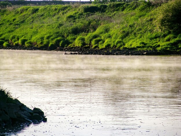 Scenic view of lake