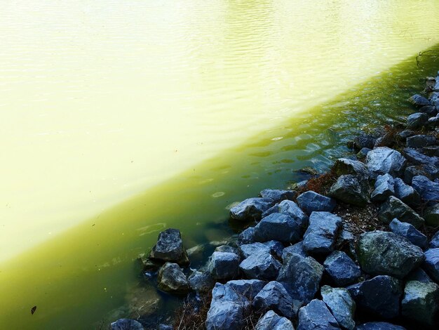 Scenic view of lake