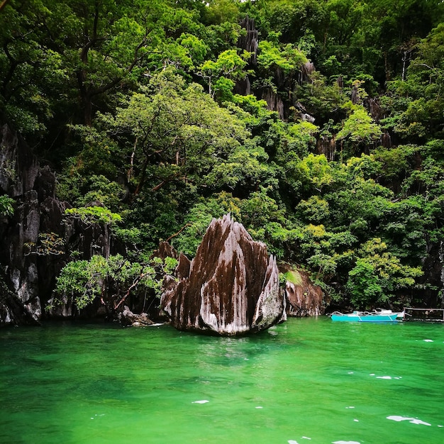 Photo scenic view of lake