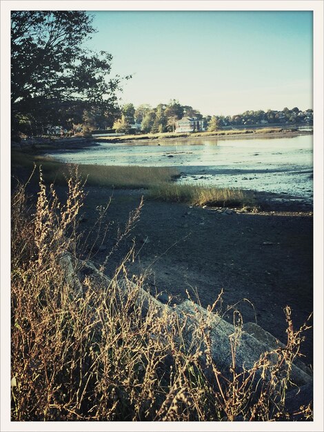 Scenic view of lake