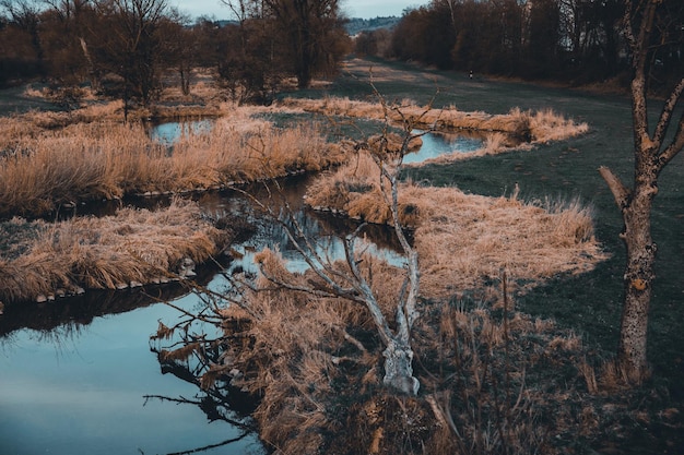 Scenic view of lake