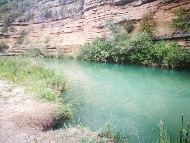 Scenic view of lake