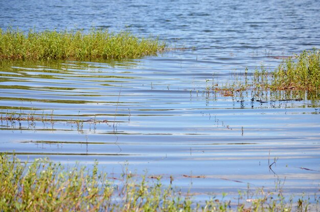 Scenic view of lake