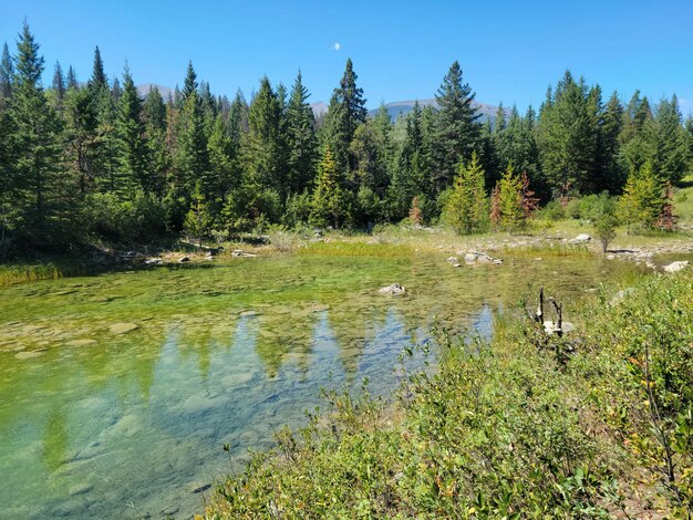 Scenic view of lake