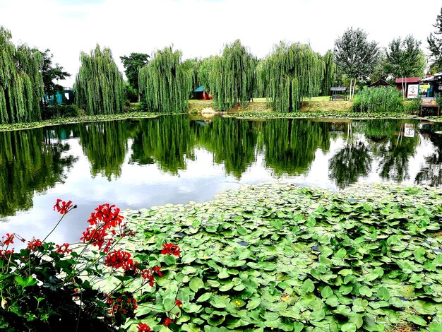 Photo scenic view of lake