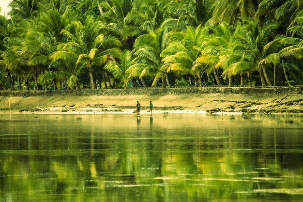 Photo scenic view of lake