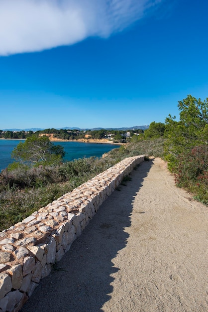 Foto vista panoramica della terra contro il cielo blu