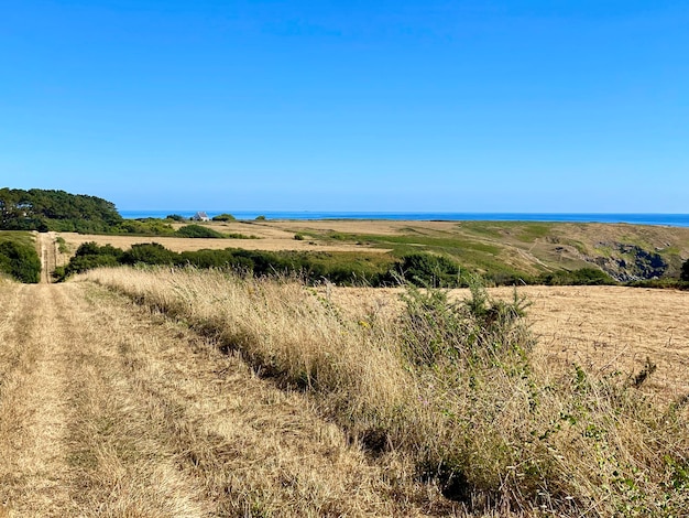 Foto vista panoramica della terra contro un cielo blu limpido