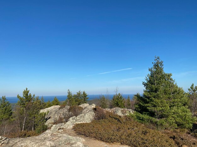 Scenic view of land against clear blue sky