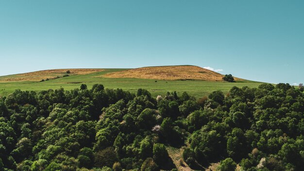 Scenic view of land against clear blue sky