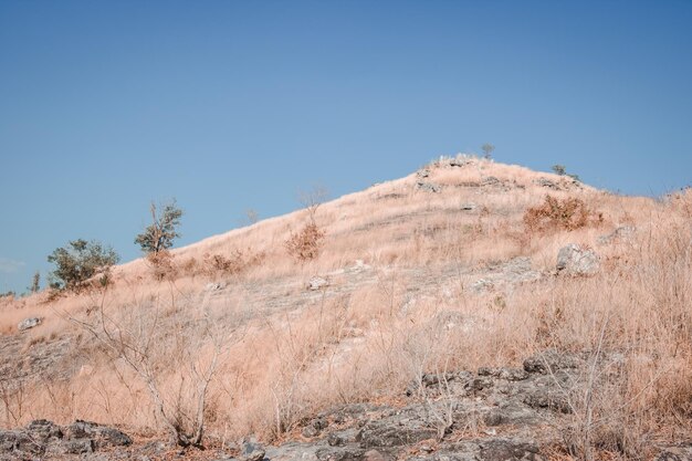 Photo scenic view of land against clear blue sky