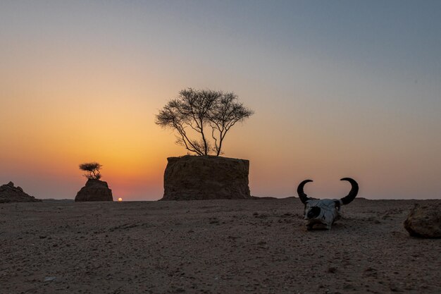 Scenic view of land against clear sky during sunset